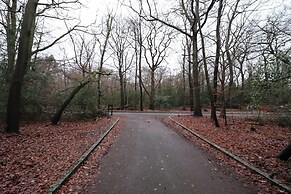 Forest Getaway