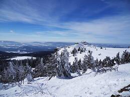 Panoramic View 4