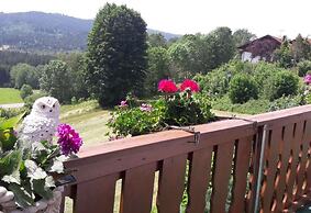 Panoramic View 4