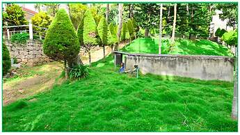 Green Mount Residency