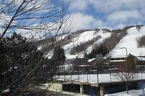 Blue Mountain Luxury Studio