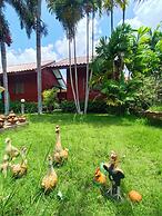 MG Guest House