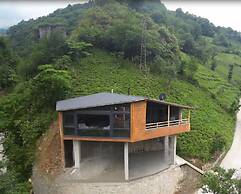 Umey Suit House