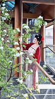MOONRISE HOTELS & RESORTS