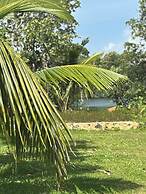 Jungle Breeze