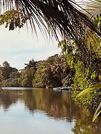 Jungle Breeze