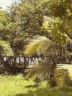 Jungle Breeze