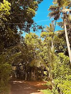 Jungle Breeze