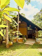 Jungle Breeze
