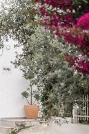 Noma Suites Tolo