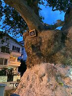 Kalemi Pansiyon