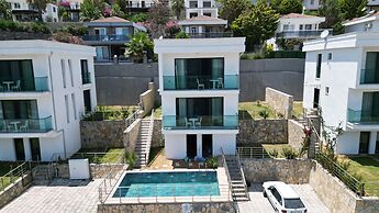 Angel Houses 1