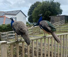 The Gatekeepers Cottage - Skerry Vore