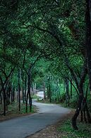 Nature Tones By BRDGE HOSPITALITY