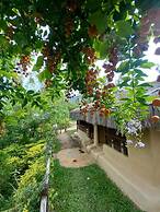 Nature Tones By BRDGE HOSPITALITY