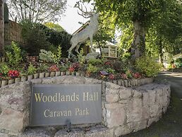 Woodlands Platinum