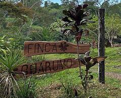 Villa Bruno - Terrace - Jungle - Birdwatching