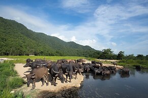 Suan Pa Khao Lom Homestay