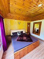 Asha Cottage Manali