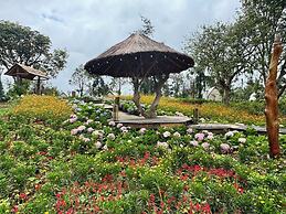 Coto Village Resort