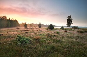 Chalet in Veluwe Near Forest Trails