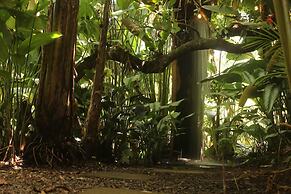 Cabaña Luculuc Garden & Forest