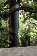 Cabaña Luculuc Garden & Forest