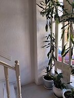 Omir Bed & Breakfast