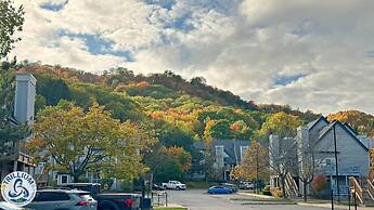 Blue Mountain at your Door Step