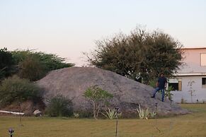 One Earth A Leopard Park Jawai