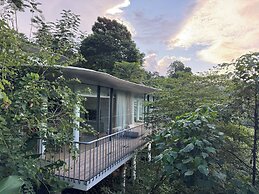 Bumi Kinar Skylight
