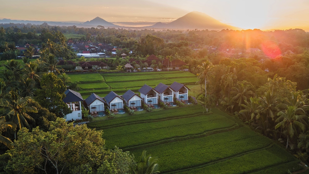 Ascarya Ubud
