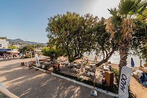 Casa Colore Boutique House