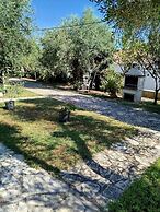 Rozalia Studios