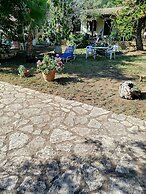 Rozalia Studios