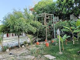 Biohotel Caribe Green