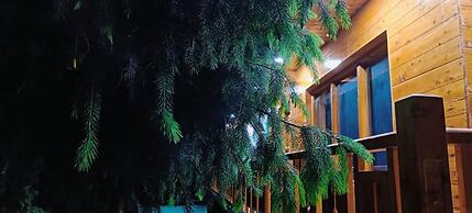 Harsil apple homestay
