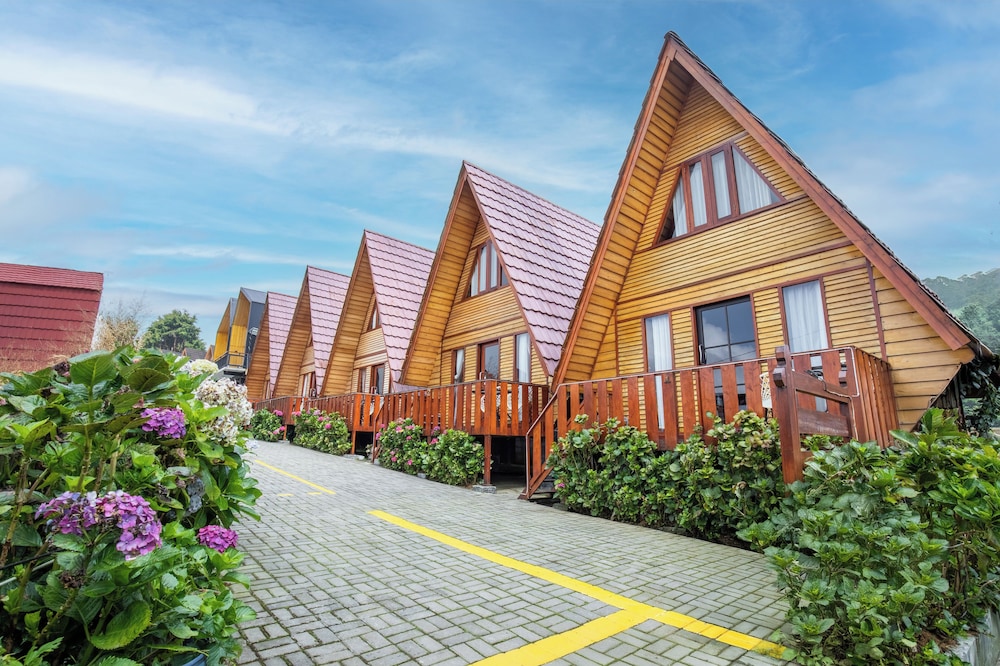Diamond Cabin House
