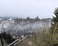 Apartment in Winterberg With Sauna & Ski Views