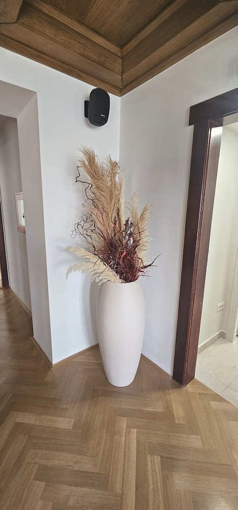 Dubrovnik Hotel Akademis Čingrija