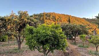Country House Silves Private Pool Nature