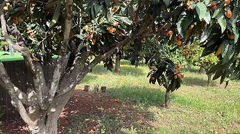 Country House Silves Private Pool Nature
