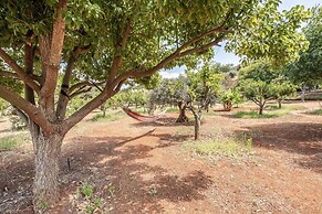 Country House Silves Private Pool Nature