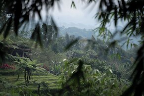 Nysa Forest Sanctuary