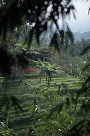Nysa Forest Sanctuary