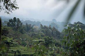 Nysa Forest Sanctuary
