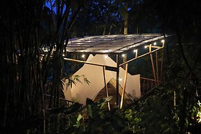 Nysa Forest Sanctuary