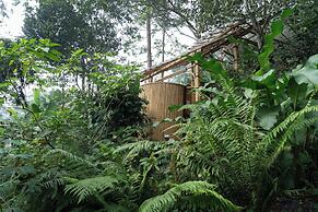 Nysa Forest Sanctuary