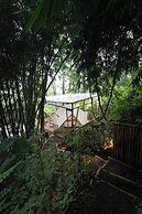 Nysa Forest Sanctuary