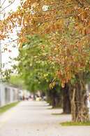 Moon Homestay 96